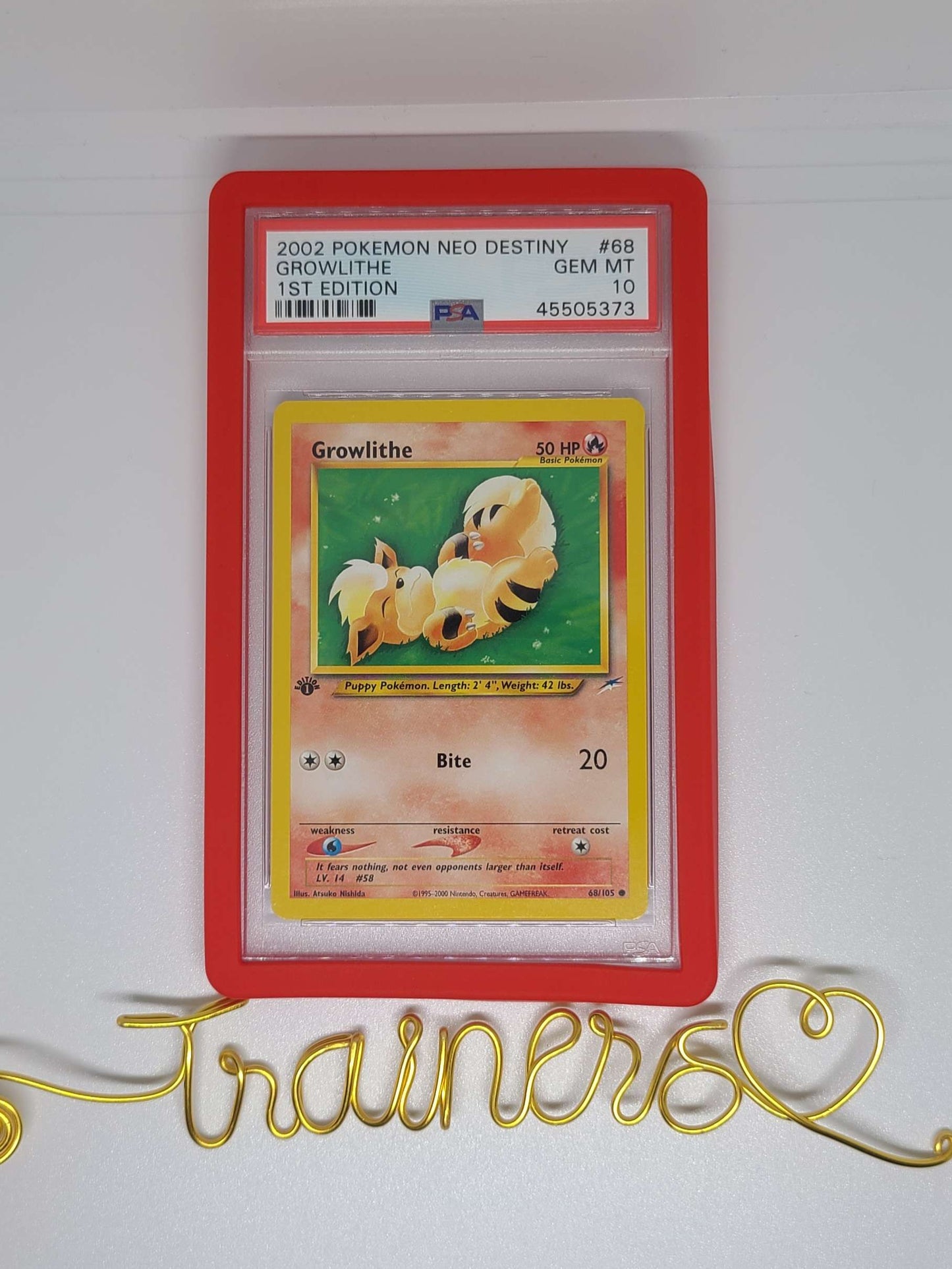 TCG Graded Slab Guard